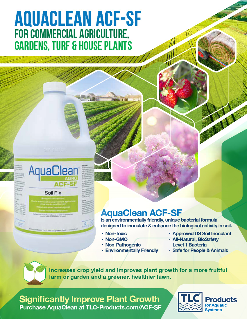 AquaClean ACF-SF Flyer