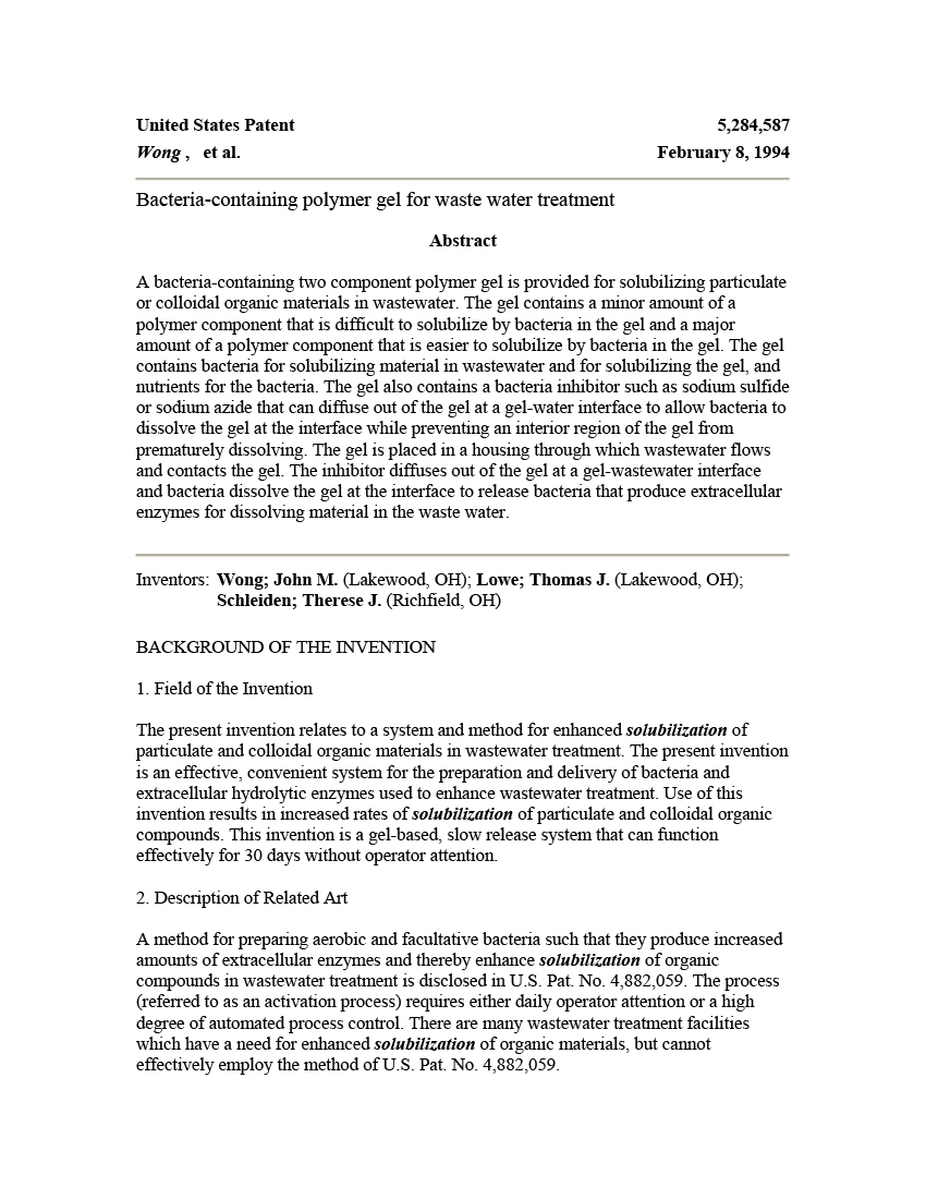 Patent 2: A unique bacterial formulation