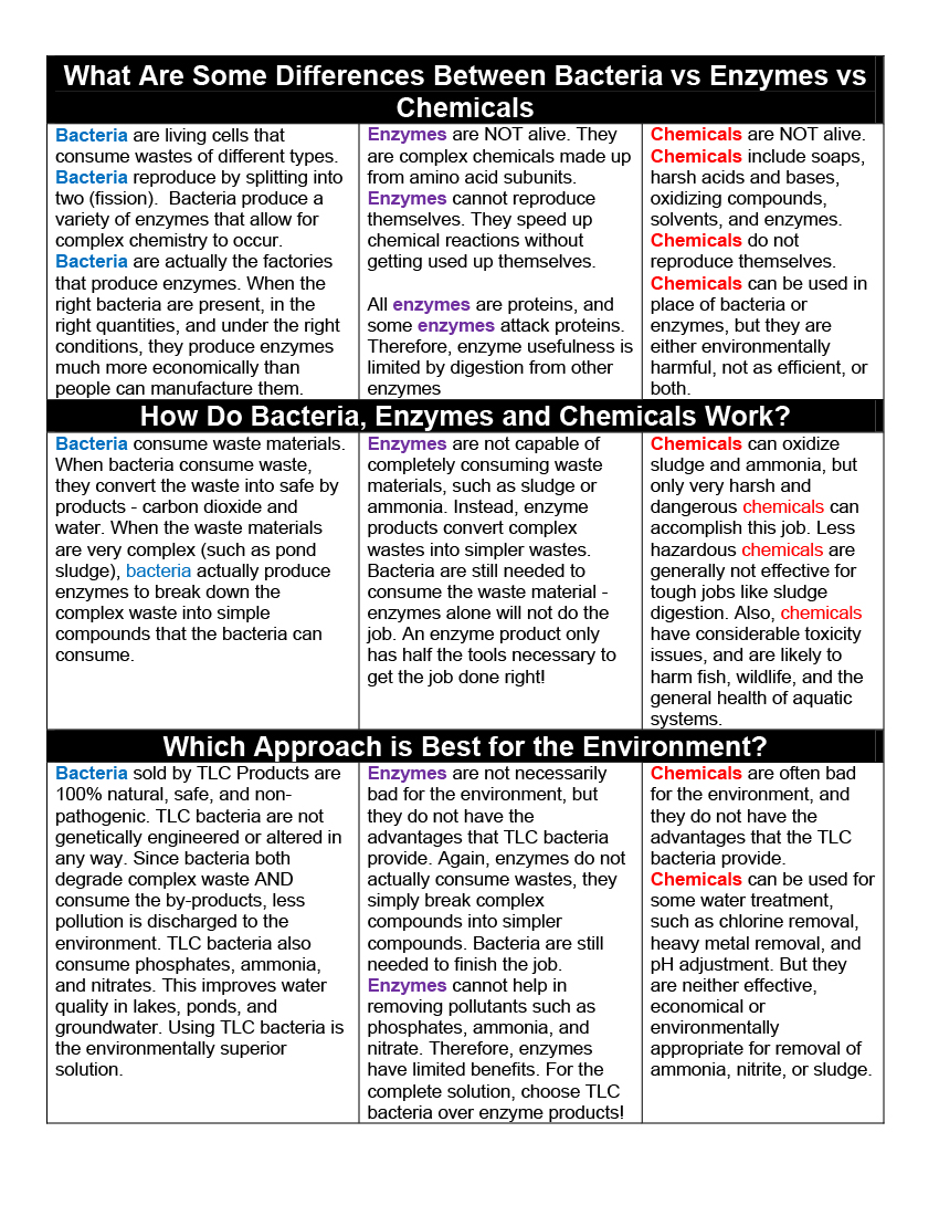 What Are Bacteria vs Enzymes vs Chemicals