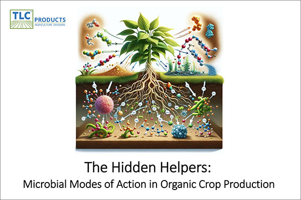 presentation cover images Presentation cover image